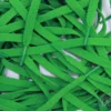 Nike laces Green flat