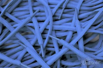 Oval laces Blue