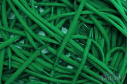 Oval laces Green  252x167 - Ovale veters - Groen
