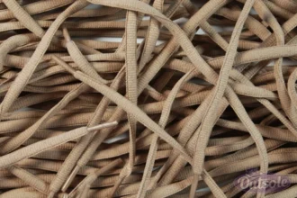 Oval laces Khaki