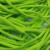 Oval laces Lime