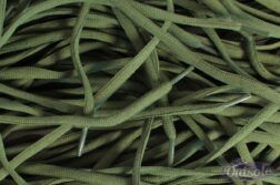 Oval laces Olive Green 252x167 - Ovale veters - Olijfgroen