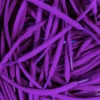 Oval laces Violet