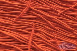 Rope Adidas Yeezy Nike Asics laces Orange 252x167 - Rope laces - Orange