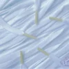 Colored Tips veters laces white wit Sail