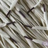 Sail Colored Tips Nike Laces Burgundy Veters 1