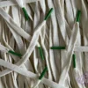 Sail Colored Tips Nike Laces Green Veters Groen 1