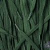 Flat laces Dark Green
