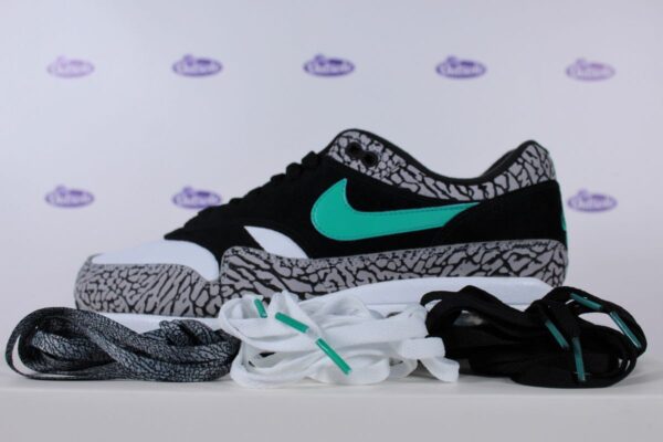 LACE PACK Nike Air Max 1 Atmos Elephant Pack