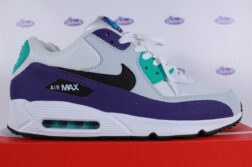 Nike Air Max 90 Grape 1
