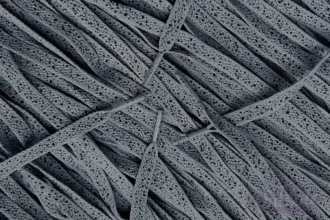 Speckled laces veters Dark Grey Black Donkergrijs Zwart