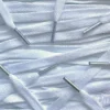 Colored Tips laces White Metallic Silver veters