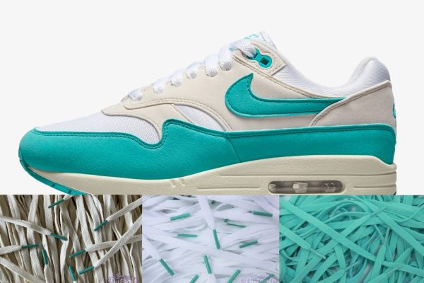 LACE PACK Nike Air Max 1 Dusty Cactus