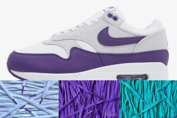 LACE PACK Nike Air Max 1 SC Field Purple White