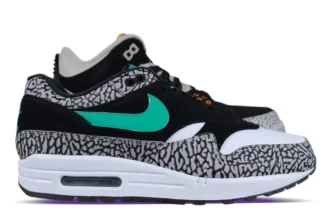 Nike Air Jordan x Max 1 Atmos Elephant Pack 2