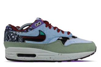 Nike Air Max 1 Concepts Mellow
