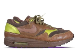 Nike Air Max 1 Evolution Project Pair