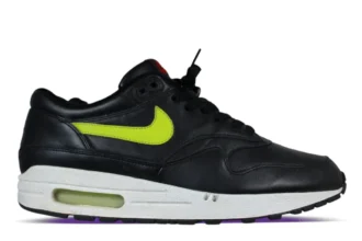 Nike Air Max 1 Kermit Sample Unreelased