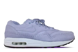 Nike Air Max 1 PRM Provence Purple