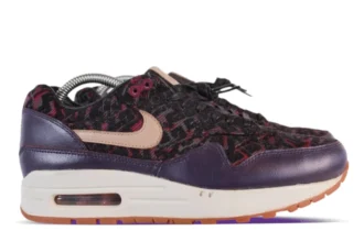 Nike Air Max 1 PRM Purple Dynasty