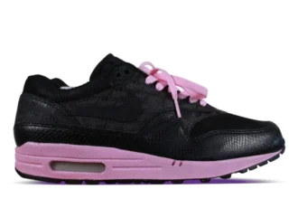 Nike Air Max 1 Powerwall Morning Glory TZ