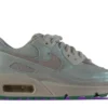 Nike Air Max 90 Future Is Clear