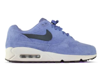 Nike Air Max 90 Purple Basalt