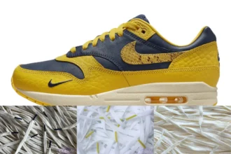 Lace Pack Nike Air Max 1 CO.JP Michigan 22