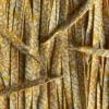 Print Laces veters Gold Yellow Goudgeel