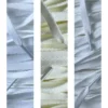 Platte veters - Witte tinten (5 Pack)