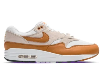 Nike Air Max 1 Bronze DZ4549 110