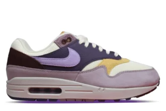 Nike Air Max 1 Dark Raisin Hydrangeas (9)