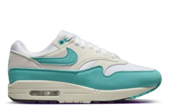 Nike Air Max 1 Dusty Cactus DZ2628 107