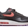 Nike Air Max 1 Velvet Brown (8)