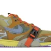 Nike Air Trainer 1 SP Coriander (1)