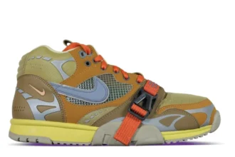 Nike Air Trainer 1 SP Coriander (1)
