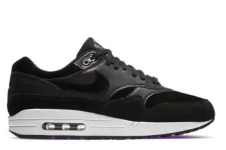 Nike Air Max 1 Premium Rebel Skulls