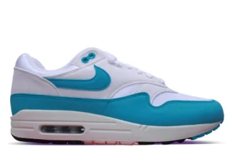 Nike Air Max 1 Dusty Cactus